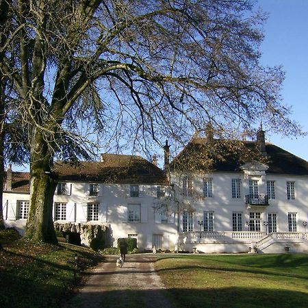 Le Chateau De Prauthoy Zewnętrze zdjęcie