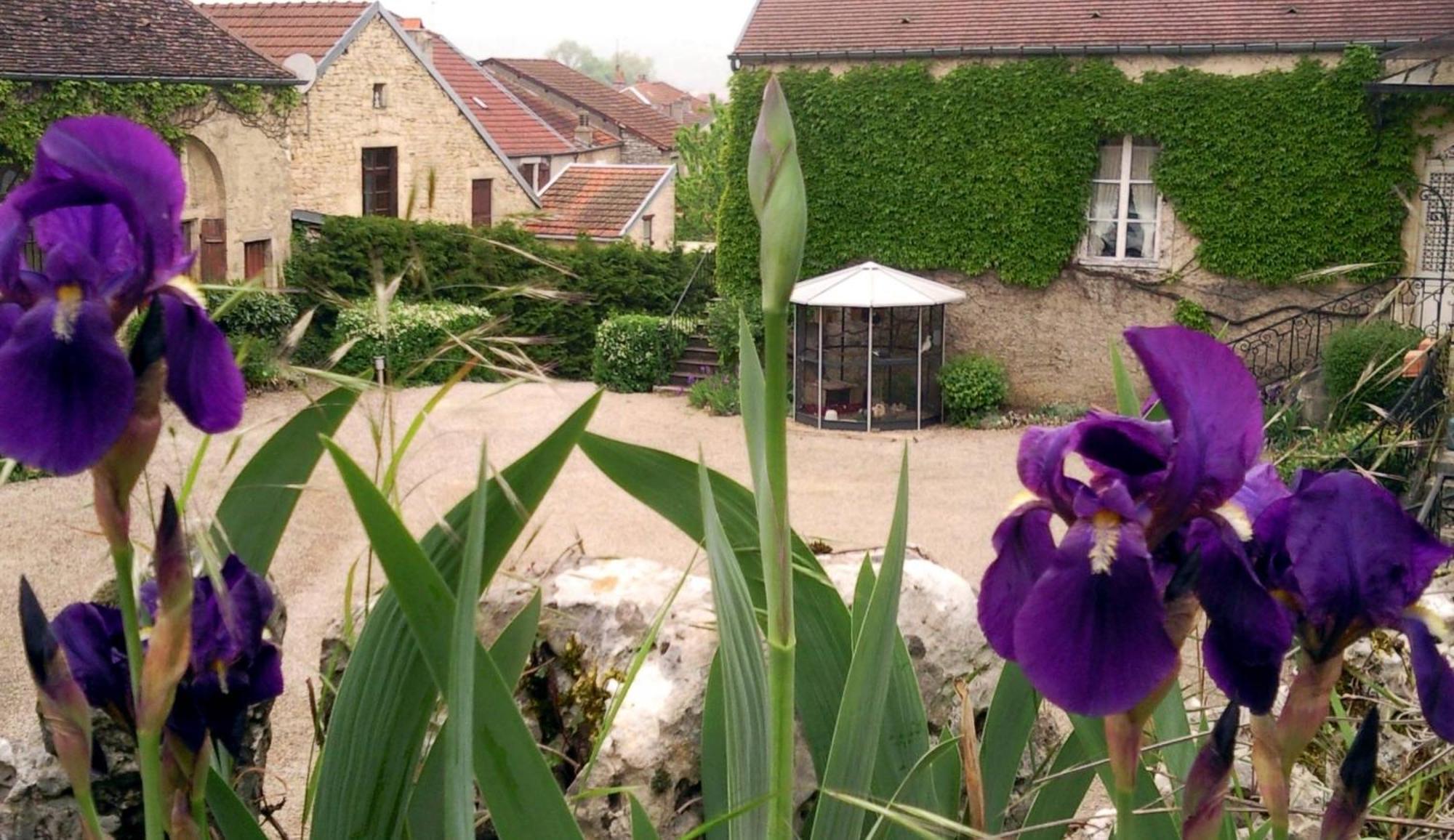 Le Chateau De Prauthoy Zewnętrze zdjęcie