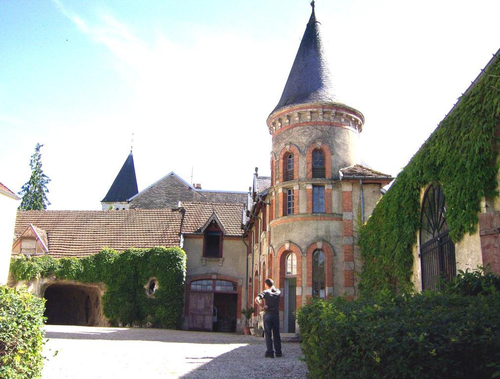 Le Chateau De Prauthoy Zewnętrze zdjęcie
