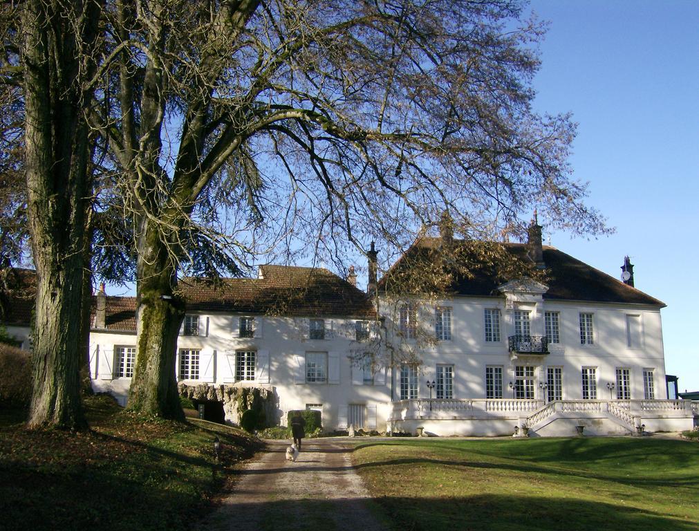 Le Chateau De Prauthoy Zewnętrze zdjęcie